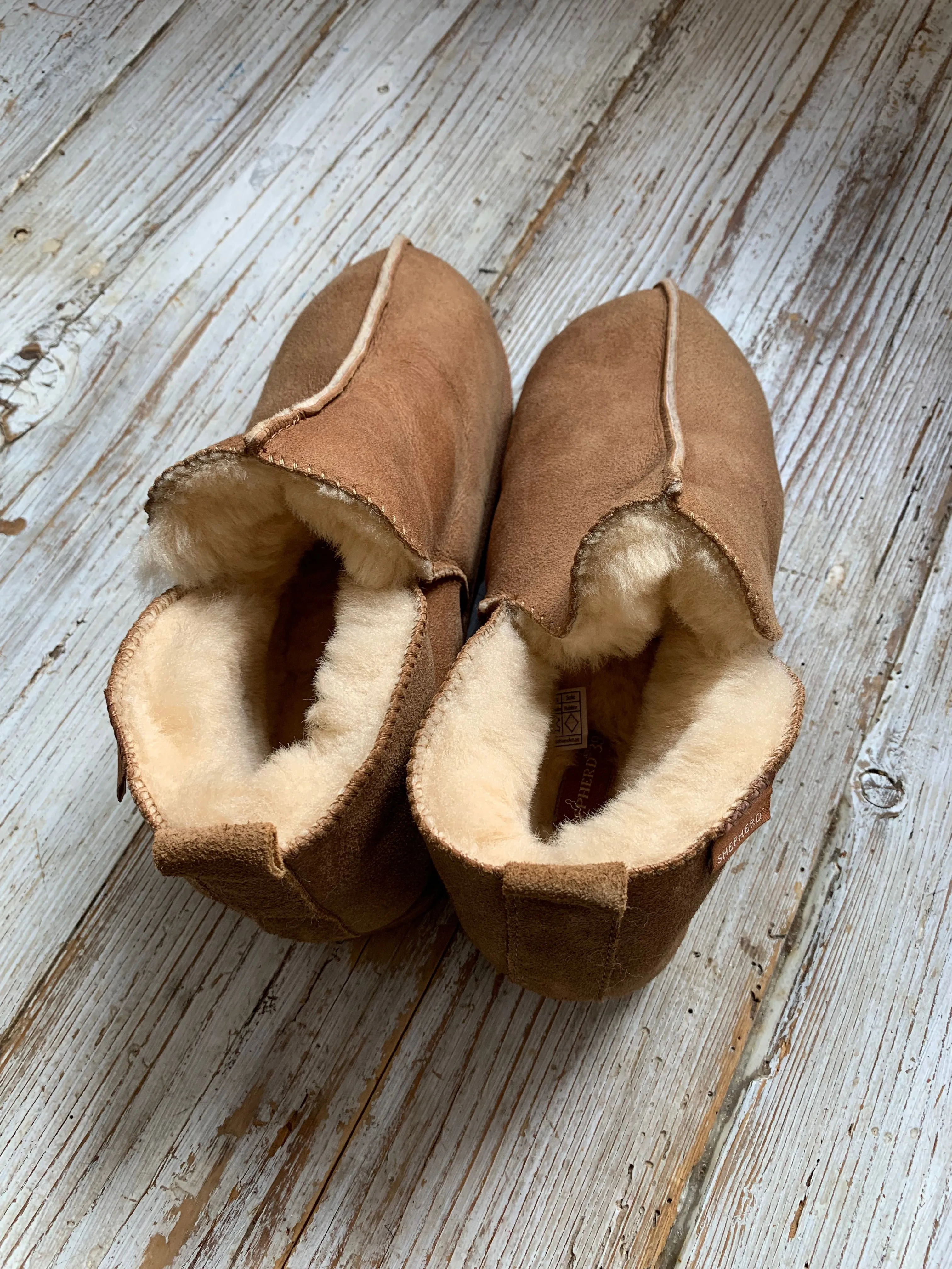 Annie Slipper