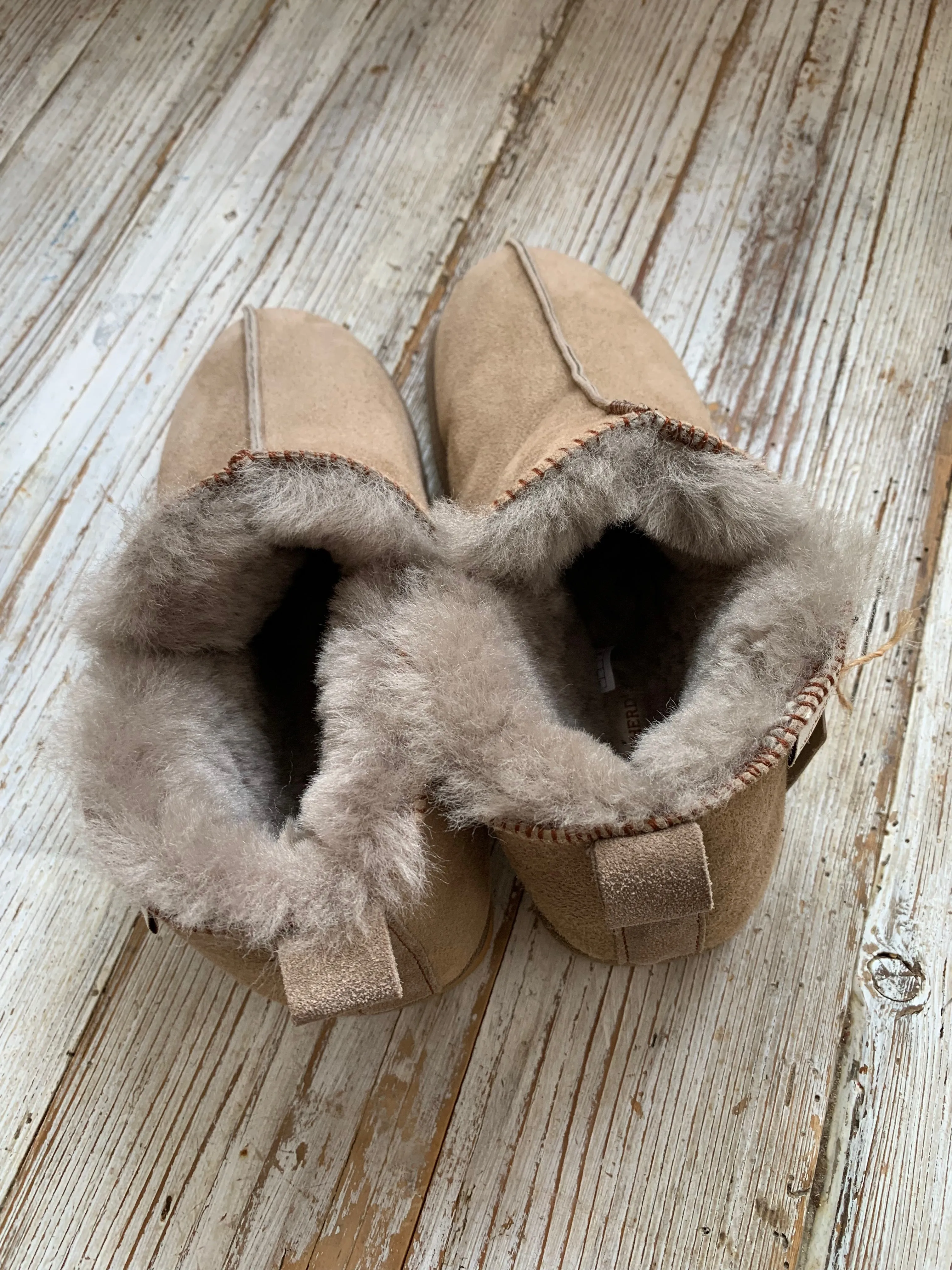 Annie Slipper